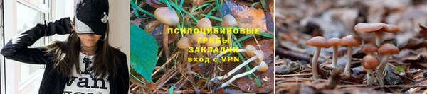 mdpv Баксан