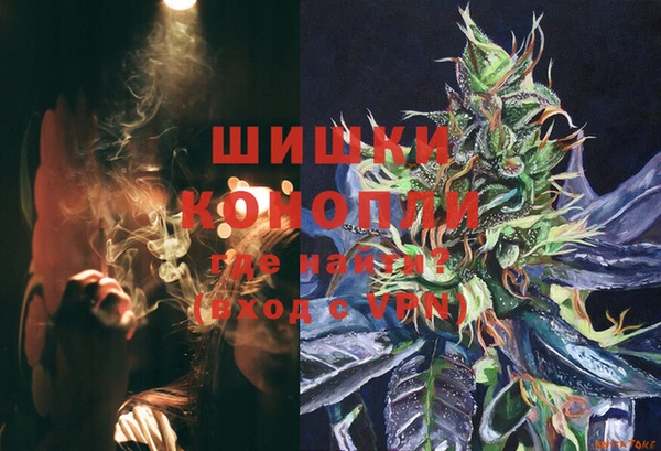 молекула духа Майский
