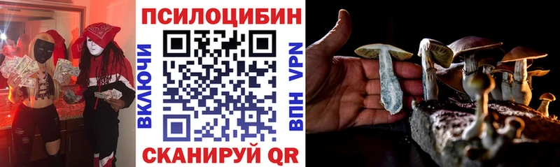 Галлюциногенные грибы ЛСД где продают Кудрово